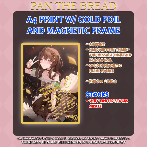 Pan Magnet Frame
